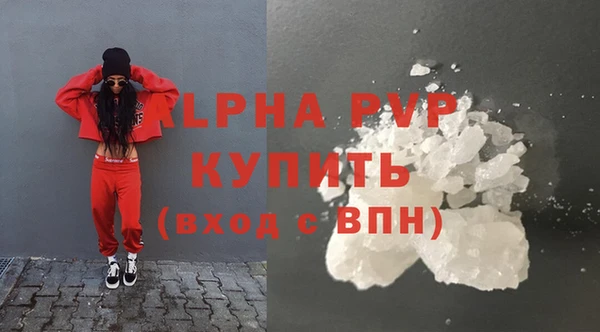 шишки Горно-Алтайск