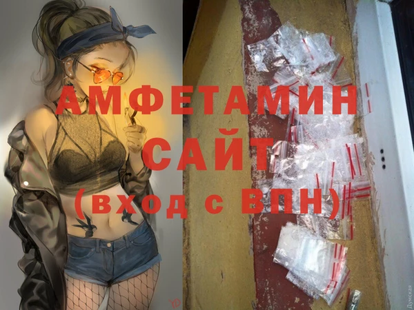 шишки Горно-Алтайск