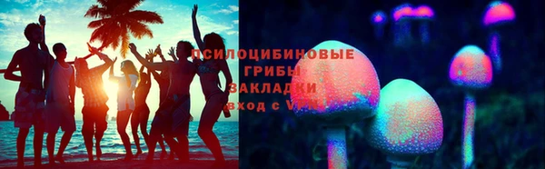 шишки Горно-Алтайск