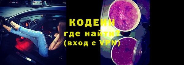 шишки Горно-Алтайск