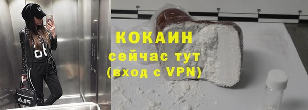 шишки Горно-Алтайск