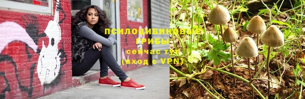 ALPHA PVP Горнозаводск