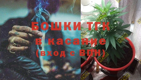 шишки Горно-Алтайск