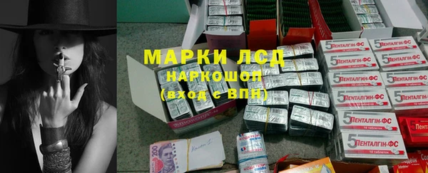 шишки Горно-Алтайск