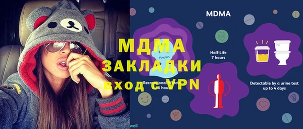 шишки Горно-Алтайск