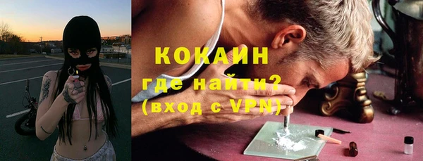шишки Горно-Алтайск