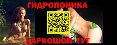 шишки Волжский