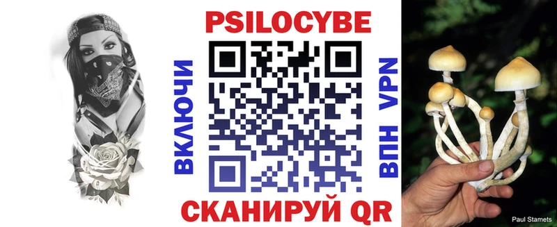 Галлюциногенные грибы Magic Shrooms  Дмитров 