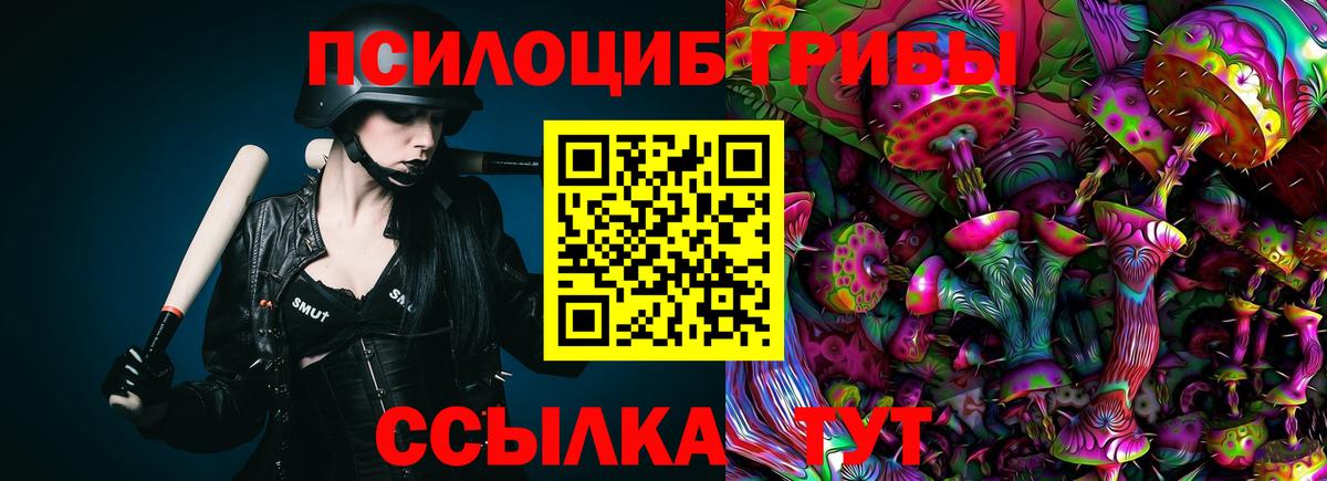 Псилоцибиновые грибы Cubensis  купить наркоту  Дмитров  Псилоцибиновые грибы Magic Shrooms 