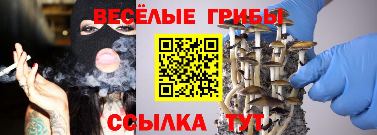 Псилоцибиновые грибы мицелий Дмитров