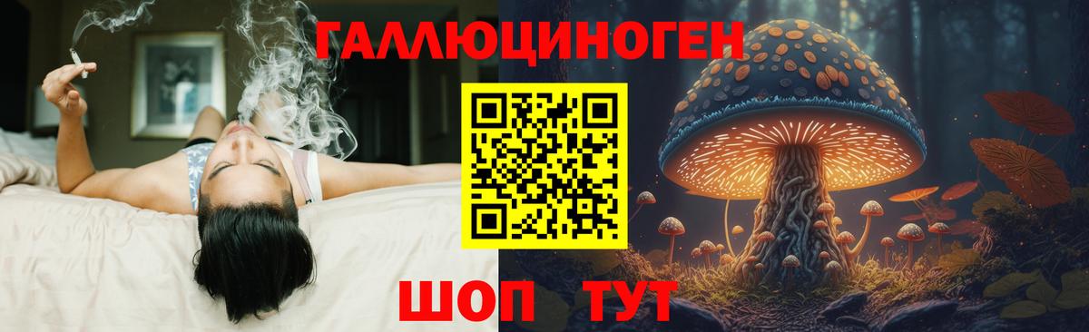 Дмитров  Псилоцибиновые грибы мухоморы  Вход с VPN  Псилоцибиновые грибы мицелий 